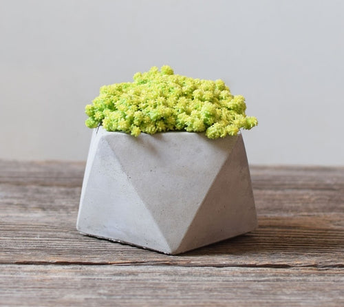 Flower Pot