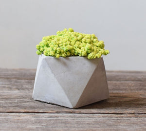 Flower Pot
